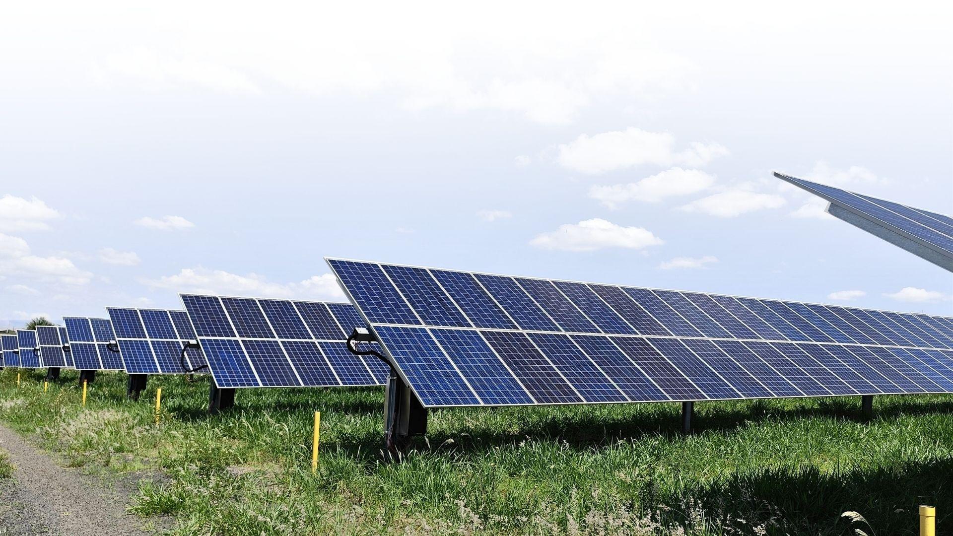Energy Subsidy Reform